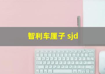 智利车厘子 sjd